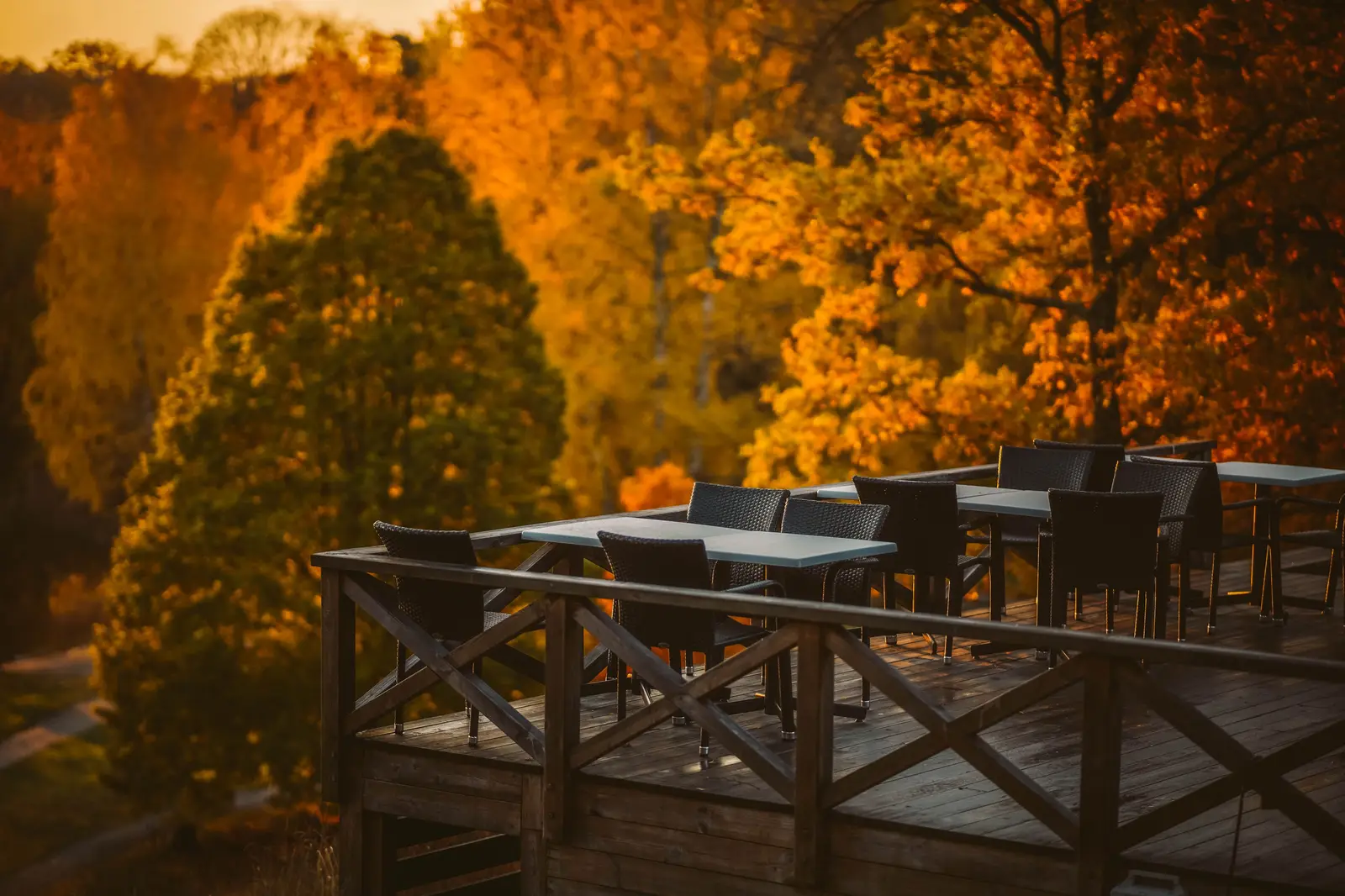 La terrasse en bois, tables et chaises face aux arbres aux couleurs d’automne