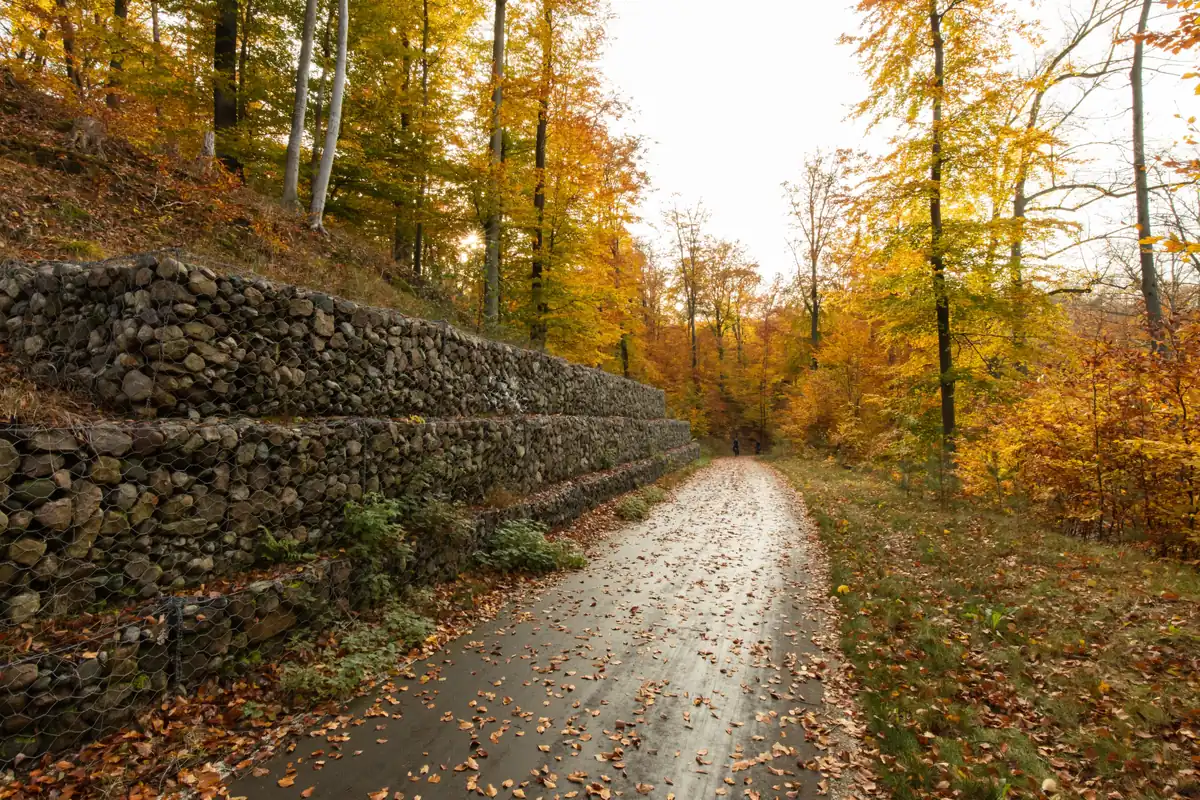 Long mur de soutènement en pierre le long d'un chemin, en automne